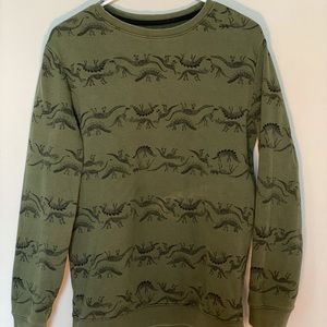 Fun Dino print pullover